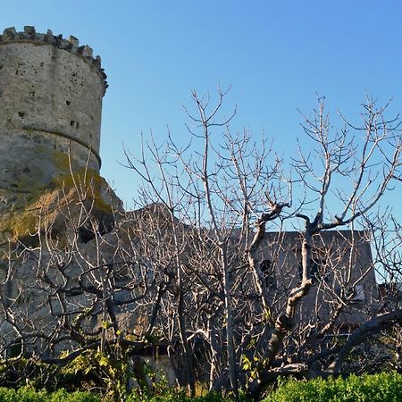 L'Agrumeto Forio di Ischia Buitenkant foto