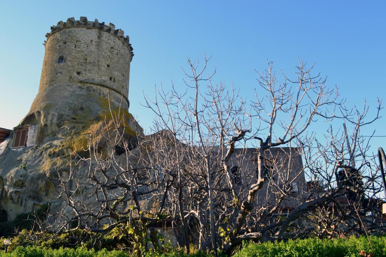 L'Agrumeto Forio di Ischia Buitenkant foto